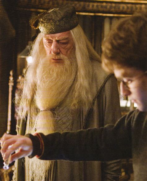 Harry and Dumbledore - Harry Potter Photo (2483210) - Fanpop