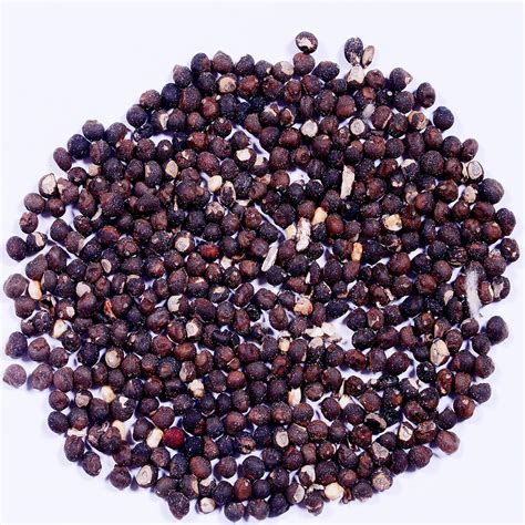 RK Seeds- Silk Cotton Tree Seeds - Malabar Semul, Indian bombax, Kapok tree, Silk Cotton, Red ...