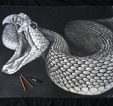 Snake Drawing | Snake drawing, Snake art, Snake tattoo design