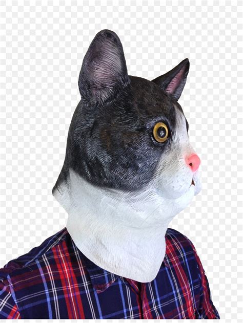 Whiskers Cat Mask Headgear Costume Party, PNG, 960x1280px, Whiskers ...