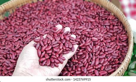 2,057 Rajma seeds Images, Stock Photos & Vectors | Shutterstock