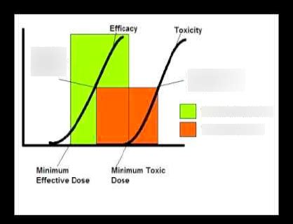 Therapeutic Index vs. Therapeutic Window Diagram | Quizlet