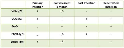 Ebv Interpretation Chart: A Visual Reference of Charts | Chart Master