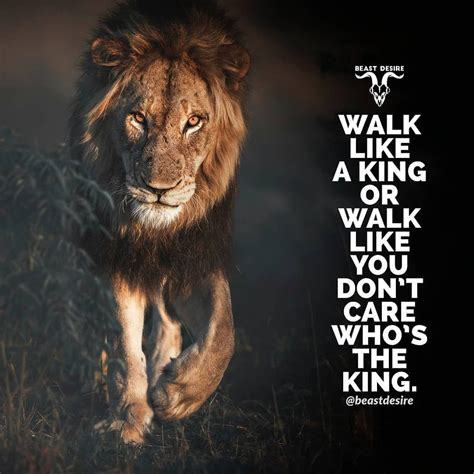 Lion Mentality Wallpaper