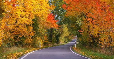 25 Reasons To Take A Western Massachusetts Fall Foliage Roadtrip This ...