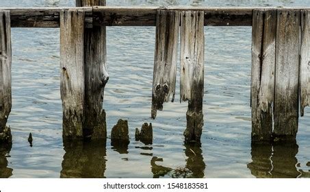 56 Tangier Island Virginia Images, Stock Photos, 3D objects, & Vectors | Shutterstock