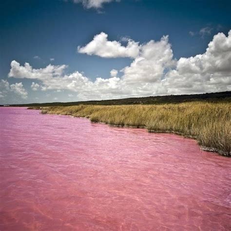 Lac Rose, Senegal | สถานที่สวยงาม, สถานที่ท่องเที่ยว, ทะเลสาป