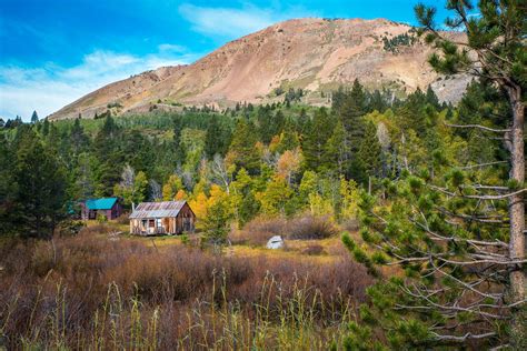 Hope Valley Begins to Happen – California Fall Color