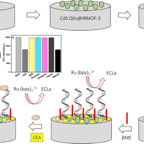 Schematic illustration of biosensor technology | Download Scientific Diagram