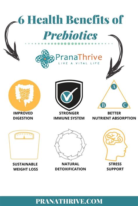 6 Health Benefits of Prebiotics #health #gut | Health programs, Health ...