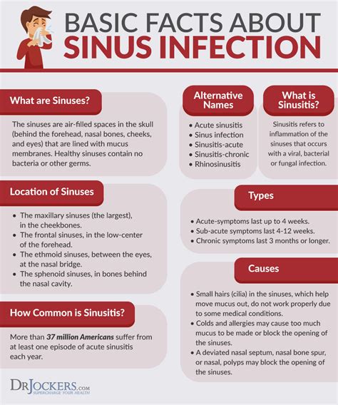 Sinus Infections: Causes, Symptoms & Natural Support Strategies