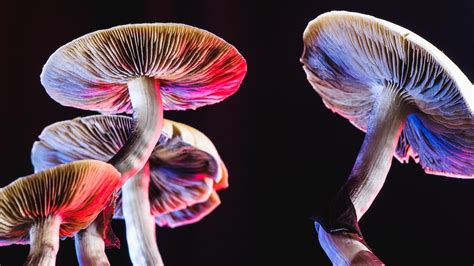 Can microdosing psychedelics improve your mental health? Here's what the science says - ABC News