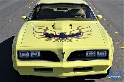 1978 Trans Am Yellow | Pontiac Firebird Trans Am