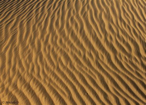 Sand Dune Patterns, Jaisalmer – Travel Tales from India and Abroad