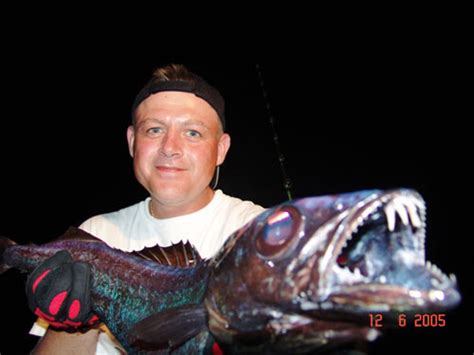 Barracouta - Photo Gallery - Fishing Khao Lak