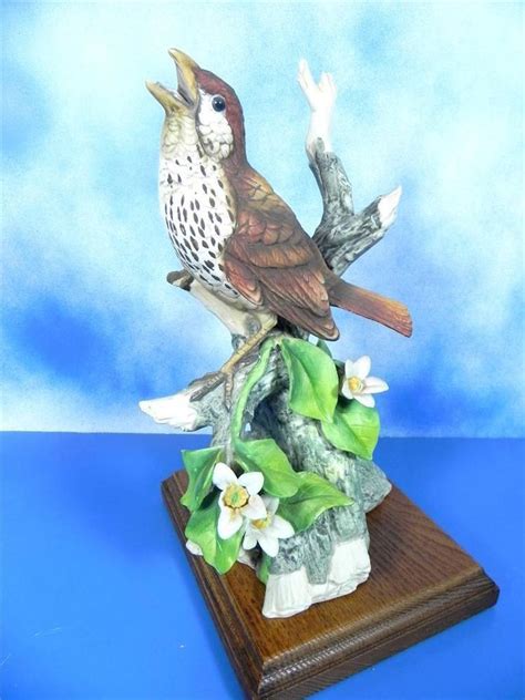 Andrea by Sadek Porcelain Birds - 8405 Wood Thrush With Wooden Base ...