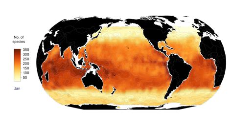 Mapping global phytoplankton yields a surprise - Futurity