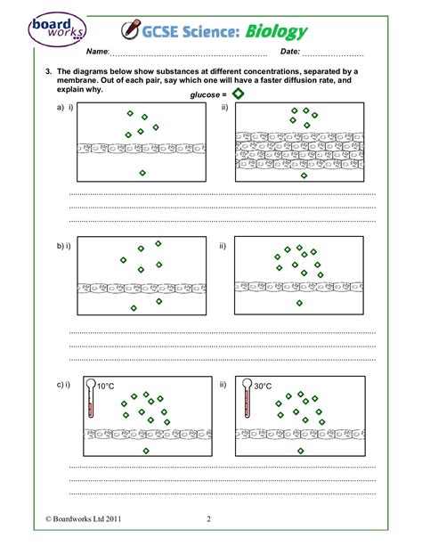 Diffusion and Osmosis Worksheet | Worksheet for Education