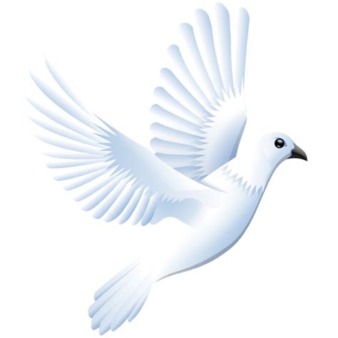 Free Dove Transparent Background, Download Free Dove Transparent Background png images, Free ...