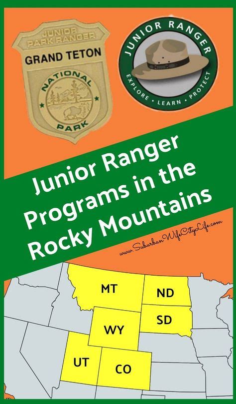 Junior ranger activities