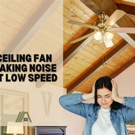 Ceiling Fan Making Noise at Low Speed – The Tibble