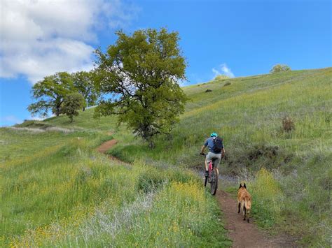 The Best Mountain Bike Trails by Sacramento, California