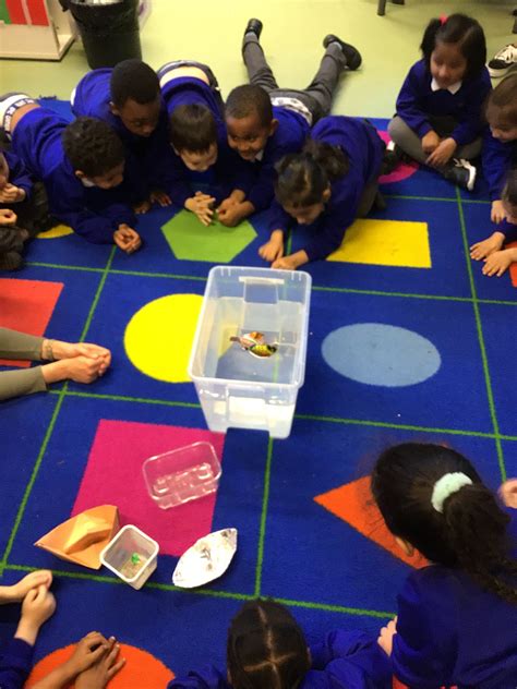 Float or Sink experiment - Science — Berger Primary School