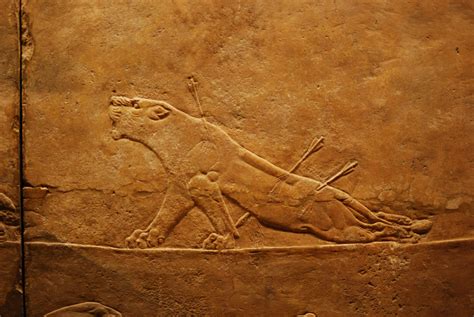 File:British Museum Room 10 lion hunting.jpg - Wikimedia Commons