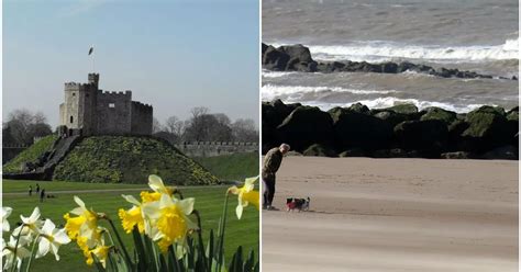 Wales weather forecast: South Wales gets sunshine and heat - but it's ...