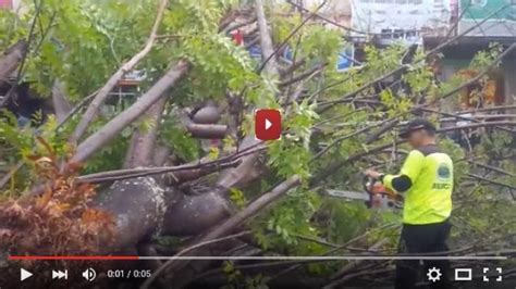 (VIDEO) Sisa Pohon Tumbang di Jalan Sarapung Dibersihkan - Tribunmanado.co.id