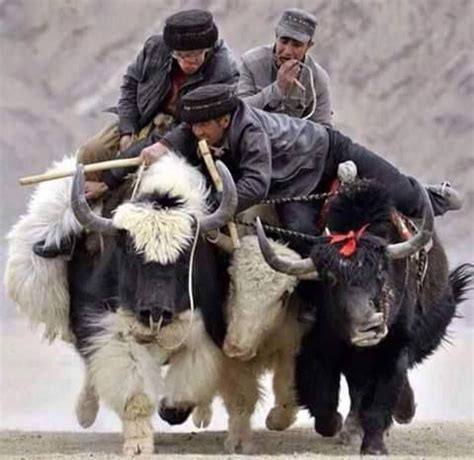 TRADITIONS AND CULTURE - Hunza Bytes