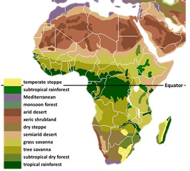 Unit 3: Ancient Africa - World History & Geography