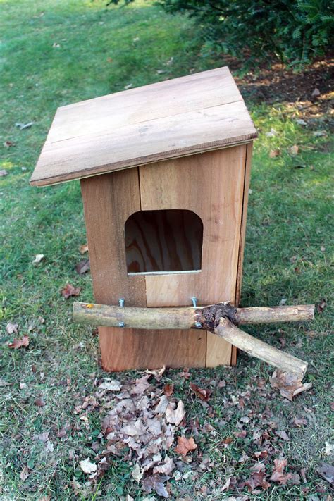 How Do You Build A Barn Owl Nesting Box