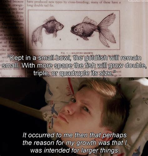 Big Fish Movie Quotes