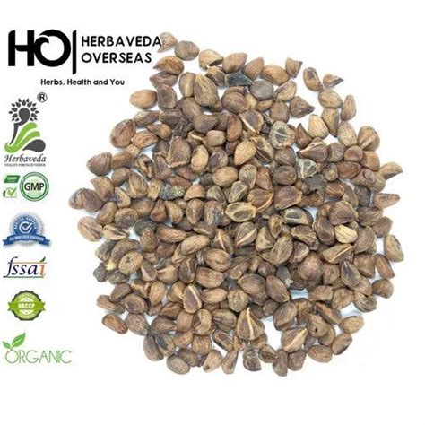 Argyreia Nervosa Seeds Hawaiian Baby Woodrose Seeds Vidhara Seeds at Rs ...