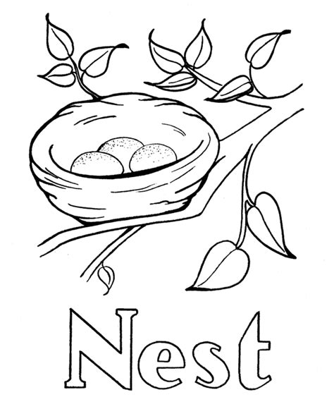 Download or print this amazing coloring page: Birds Nest Coloring Page For Kids | COLORING WS ...