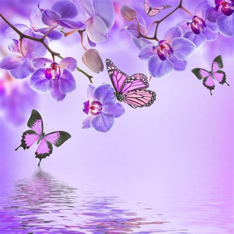 Purple Butterfly & Orchid Flowers Wall Mural Wallpaper