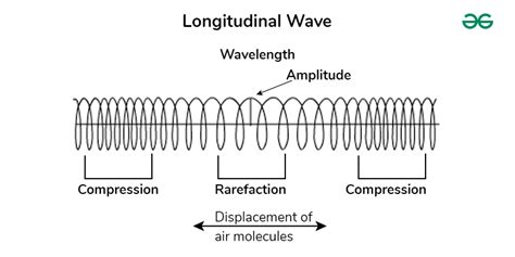 Longitudinal Wave: Definition, Examples, Formula, and Diagram