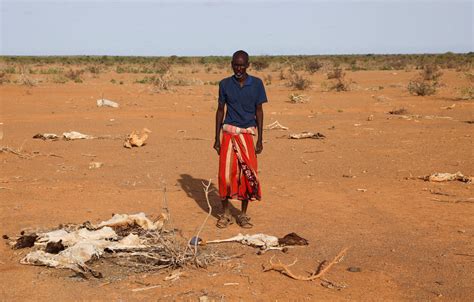 Nearly a million facing hunger as drought ravages Somalia | Daily Sabah