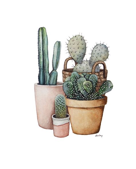 Cactus Print, Cactus Painting, Desert Artwork, Watercolor Cacti, Original Art Print by ...