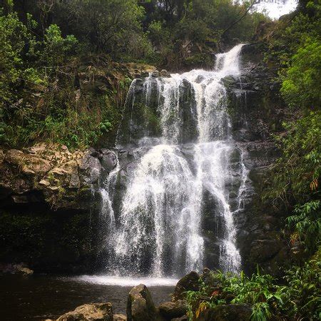 KOHALA WATERFALLS ADVENTURE (Kailua-Kona) - 2022 What to Know BEFORE You Go