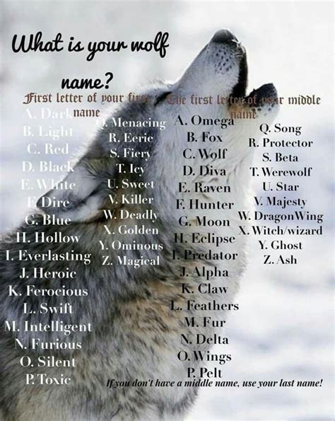 Red Feathers | Wolf name, Wolf quotes, Funny name generator