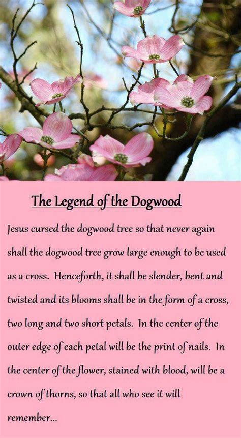 Legend Of The Dogwood Tree Poem Printable