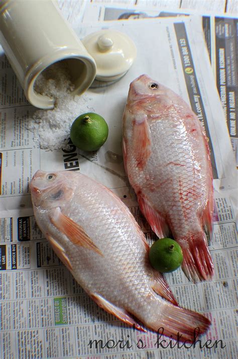 Mori's Kitchen: Ikan Tilapia Goreng bercili dengan Siput Sedut Lemak ...