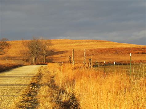 Mary's Be a GoodDog Blog: Hiking in the Flint Hills: Prudence Come Out ...