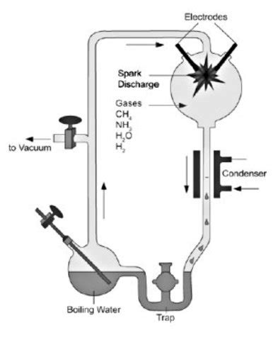 Abiogenesis vs. Biogensis timeline | Timetoast timelines