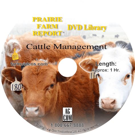 Cattle Management | FarmVideos.com