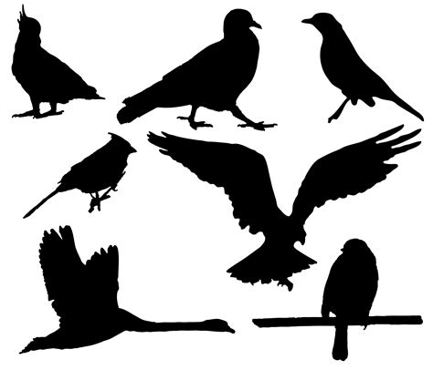 Bird Silhouettes Free Stock Photo - Public Domain Pictures