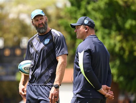 White excited about Bulls’ potential after pre-season with new ...