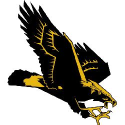 Southern Miss Golden Eagles Primary Logo | Sports Logo History